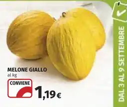 Coop Melone giallo offerta