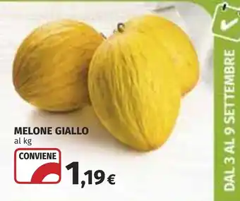 Melone giallo