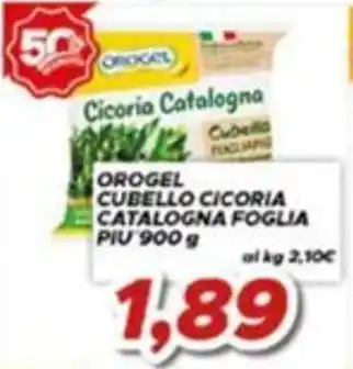 Orogel cubello cicoria catalogna foglia
