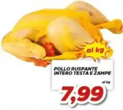 MA Supermercati Pollo ruspante intero testa e zampe offerta