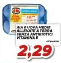 MA Supermercati Aia 6 uova medie allevate a terra senza antibiotici vitamina e offerta