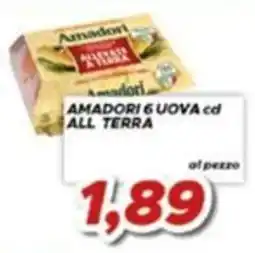 MA Supermercati Amadori 6 uova all terra offerta