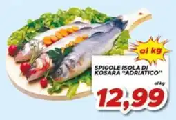 MA Supermercati Spigole Isola di Kosara "Adriatico" offerta