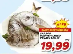 MA Supermercati Sarago mediterraneo pecato offerta