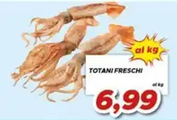 MA Supermercati Totani freschi offerta