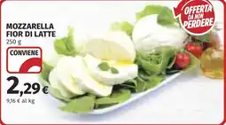 Coop Mozzarella fior di latte offerta