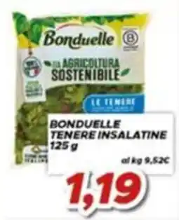 MA Supermercati Bonduelle tenere insalatine offerta
