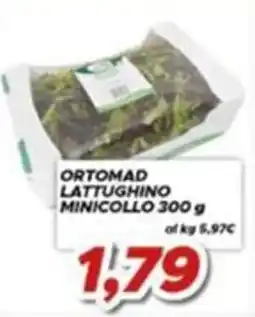 MA Supermercati Ortomad lattughino minicollo offerta