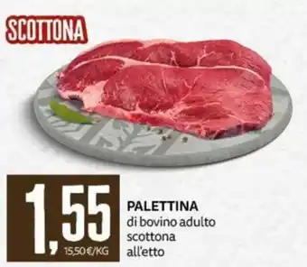 Palettina scottona