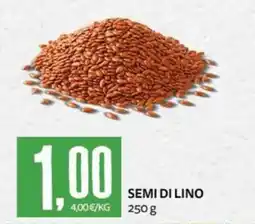 PRO7 Supermercati Semi di lino offerta