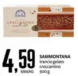 PRO7 Supermercati Sammontana trancio gelato croccantino offerta