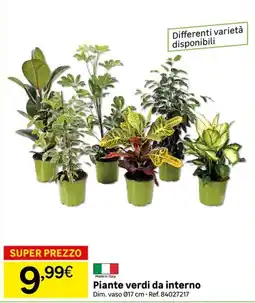 Leroy Merlin Piante verdi da interno offerta