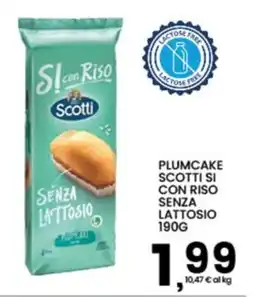 Interspar Plumcake Scotti si con riso senza lattosio offerta