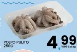 Interspar Polpo pulito offerta