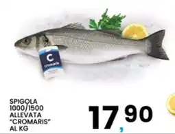 Interspar Spigola Cromaris offerta