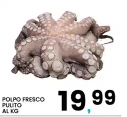 Interspar Polpo fresco pulito offerta