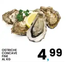 Interspar Ostriche concave fine offerta