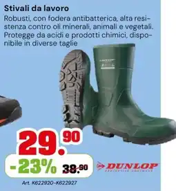 TuttoGiardino Stivali da lavoro Dunlop offerta