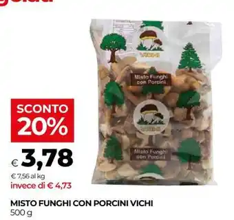 MISTO FUNGHI CON PORCINI VICHY
