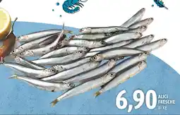 Madis Alici fresche offerta