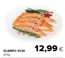 Tigre Scampo 31/40 offerta
