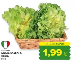 Tigre Indivia scarola/riccia offerta