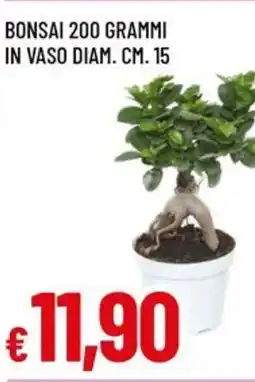 Famila Superstore Bonsai offerta