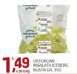 Crai OrtoRomi insalata iceberg offerta