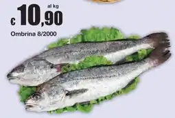 Sì con te Ombrina offerta