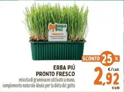 Pet Store Conad Erba Più pronto fresco offerta