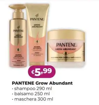 Pantene Grow Abundant