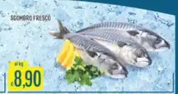 Mercadò Sgombro fresco offerta