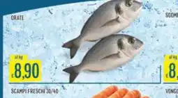 Mercadò Orate offerta