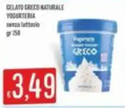 Mercadò Yogurteria Gelato Greco Naturale offerta