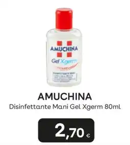 Idea bellezza Amuchina Disinfettante Mani Gel Xgerm offerta