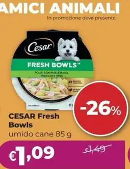 La Saponeria Cesar Fresh Bowls offerta