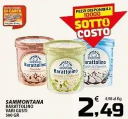 SpesaPiù Supermercati Sammontana Barattolino vari gusti offerta
