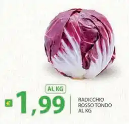 Supermercati Bruscoli Radicchio rosso tondo offerta