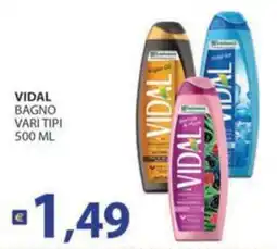 Supermercati Bruscoli Vidal bagno vari tipi offerta