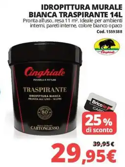 Brico Io Idropittura murale bianca traspirante Cinghiale offerta