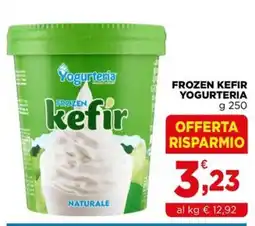 Gran mercato Frozen kefir Yogurteria offerta