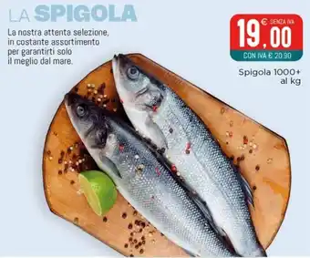 Spigola