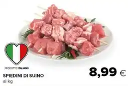 Oasi Spiedini di suino offerta