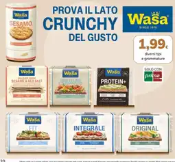 Basko Wasa offerta