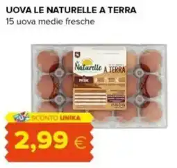 Oasi Uova le naturelle a terra offerta