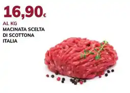 Basko Macinata scelta di scottona Italia offerta