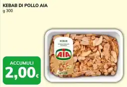 Basko Kebab di pollo AIA offerta