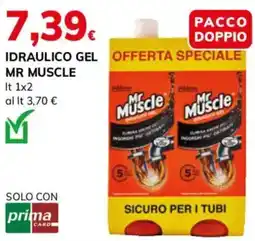 Basko Idraulico gel Mr Muscle offerta