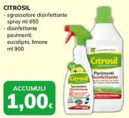 Basko Citrosil sgrassatore disinfettante offerta