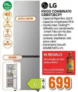 Expert Frigo combinato LG offerta